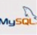 MySQL 数据类型 字段类型