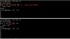 shell脚本编程之循环语句